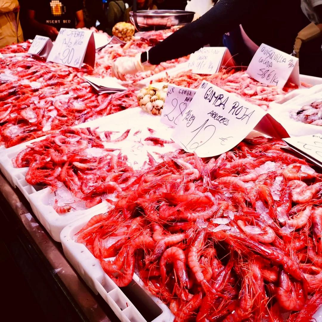 Desconecta Junto Al Mercado Central De Alicante Esterno foto